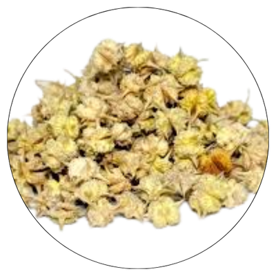 Tribulus Terrestris